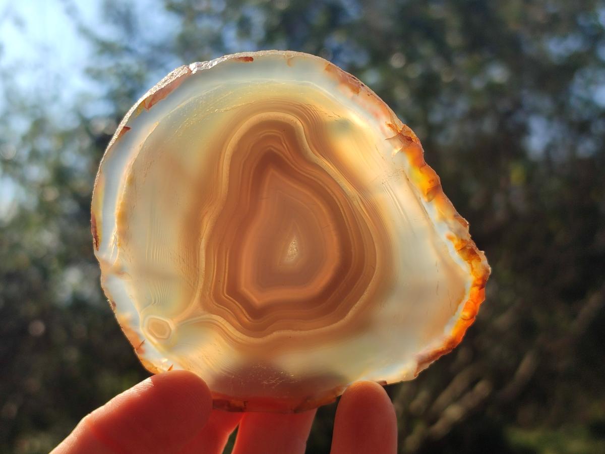 Polished Banded Agate Slices with Natural Edging x 12 From Madagascar - Toprock Gemstones and Minerals 