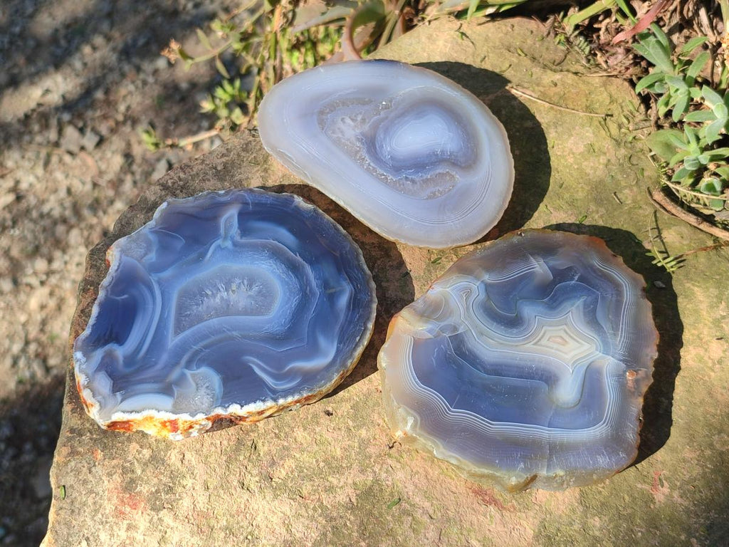 Polished Banded Agate Slices with Natural Edging x 12 From Madagascar - Toprock Gemstones and Minerals 