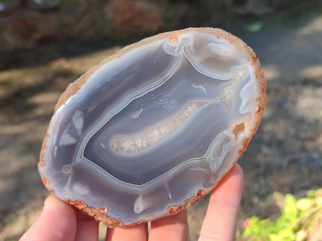 Polished Banded Agate Slices with Natural Edging x 12 From Madagascar - Toprock Gemstones and Minerals 