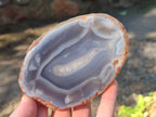 Polished Banded Agate Slices with Natural Edging x 12 From Madagascar - Toprock Gemstones and Minerals 