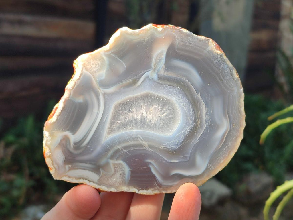 Polished Banded Agate Slices with Natural Edging x 12 From Madagascar - Toprock Gemstones and Minerals 