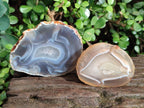 Polished Banded Agate Slices with Natural Edging x 12 From Madagascar - Toprock Gemstones and Minerals 