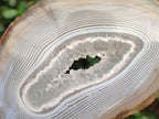 Polished Banded Agate Slices with Natural Edging x 12 From Madagascar - Toprock Gemstones and Minerals 