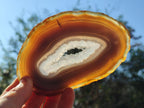 Polished Banded Agate Slices with Natural Edging x 12 From Madagascar - Toprock Gemstones and Minerals 