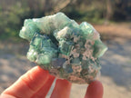 Natural Green Cubic Fluorite Specimens x 12 From Mandrosonoro, Madagascar - Toprock Gemstones and Minerals 