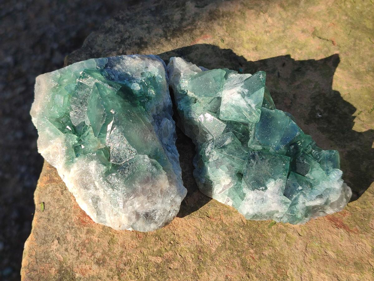 Natural Green Cubic Fluorite Specimens x 12 From Mandrosonoro, Madagascar - Toprock Gemstones and Minerals 