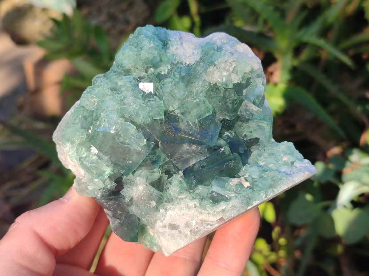 Natural Green Cubic Fluorite Specimens x 12 From Mandrosonoro, Madagascar - Toprock Gemstones and Minerals 