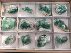 Natural Green Cubic Fluorite Specimens x 12 From Mandrosonoro, Madagascar - Toprock Gemstones and Minerals 