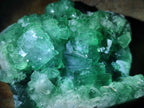 Natural Green Cubic Fluorite Specimens x 12 From Mandrosonoro, Madagascar - Toprock Gemstones and Minerals 