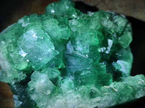 Natural Green Cubic Fluorite Specimens x 12 From Mandrosonoro, Madagascar - Toprock Gemstones and Minerals 
