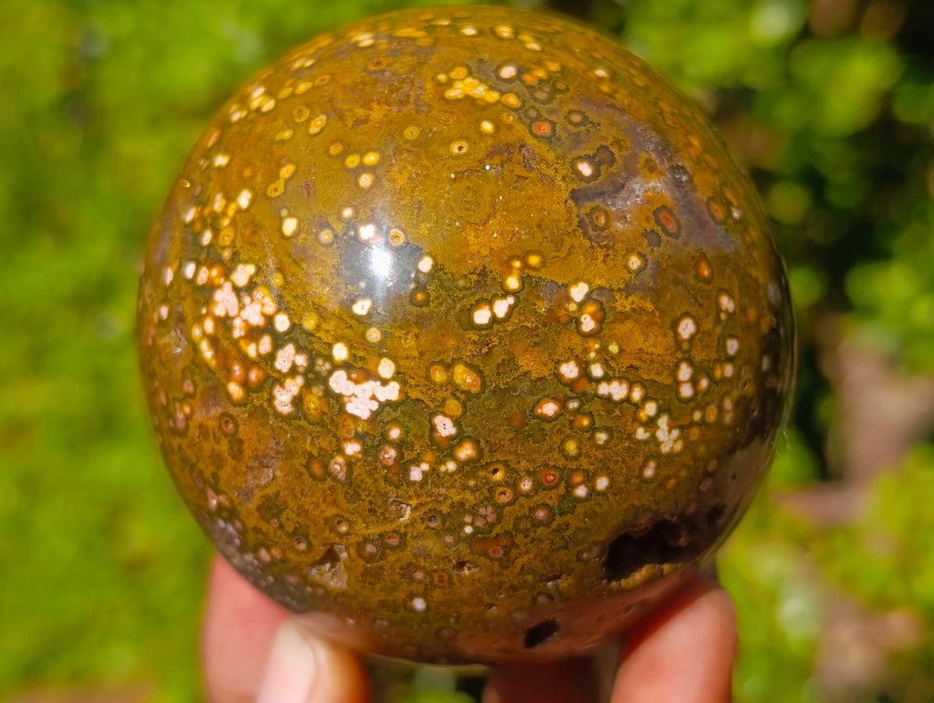 Polished Ocean Jasper Spheres x 2 From Northwest Coast, Madagascar - Toprock Gemstones and Minerals 