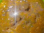 Polished Ocean Jasper Spheres x 2 From Northwest Coast, Madagascar - Toprock Gemstones and Minerals 