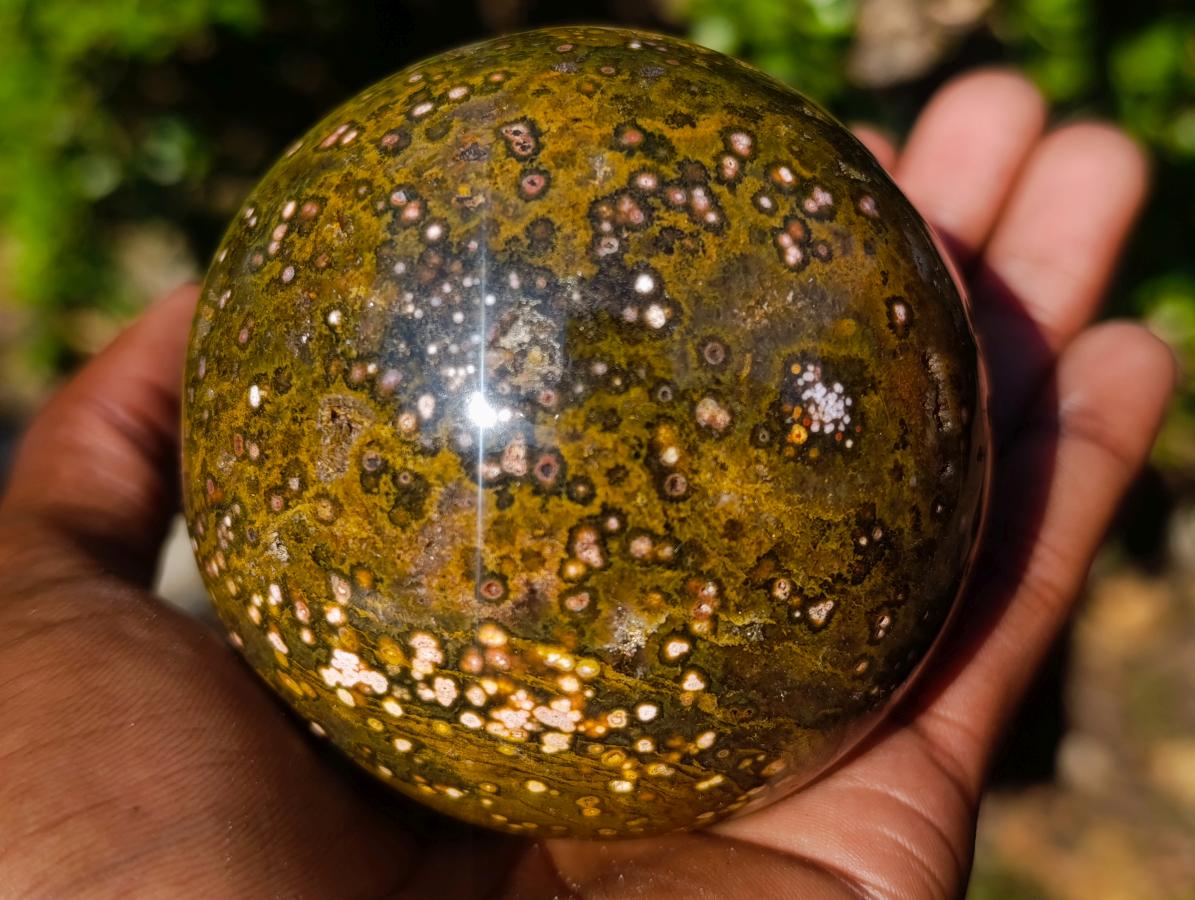 Polished Ocean Jasper Spheres x 2 From Northwest Coast, Madagascar - Toprock Gemstones and Minerals 
