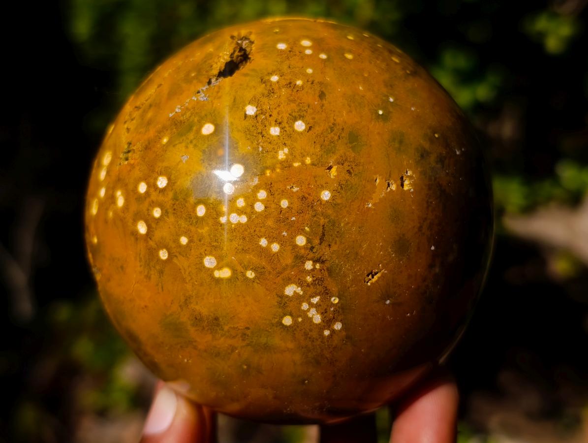Polished Ocean Jasper Spheres x 2 From Northwest Coast, Madagascar - Toprock Gemstones and Minerals 