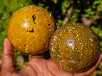 Polished Ocean Jasper Spheres x 2 From Northwest Coast, Madagascar - Toprock Gemstones and Minerals 