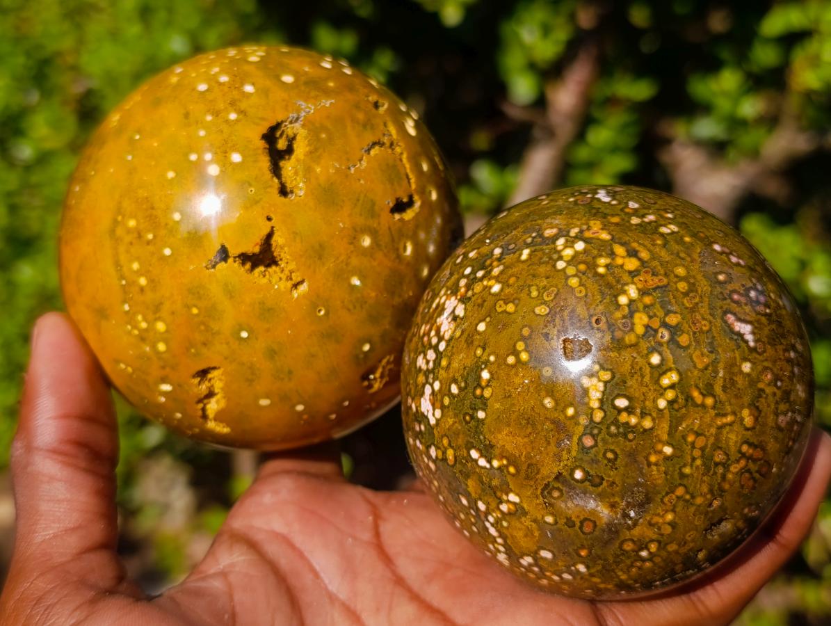 Polished Ocean Jasper Spheres x 2 From Northwest Coast, Madagascar - Toprock Gemstones and Minerals 