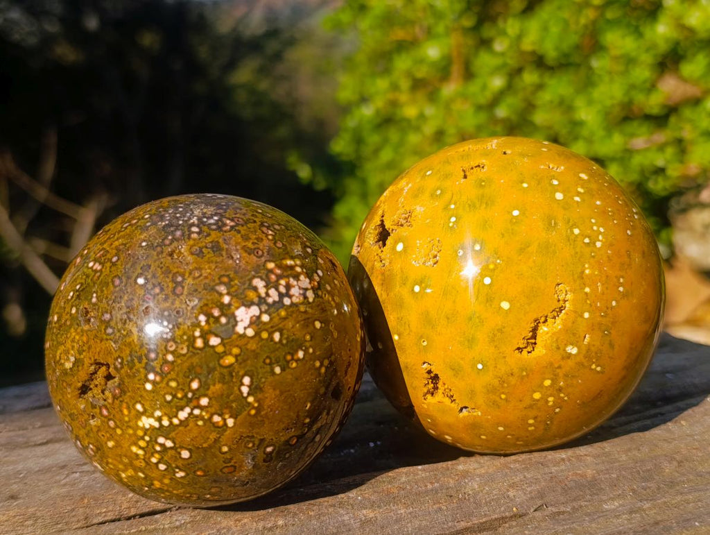 Polished Ocean Jasper Spheres x 2 From Northwest Coast, Madagascar - Toprock Gemstones and Minerals 