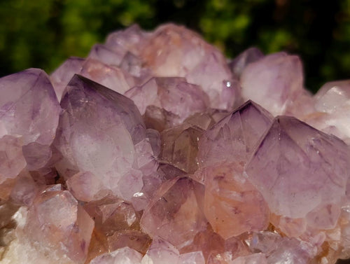 Natural Sunburst Spirit Amethyst Clusters x 2 From Boekenhouthoek, South Africa - Toprock Gemstones and Minerals 
