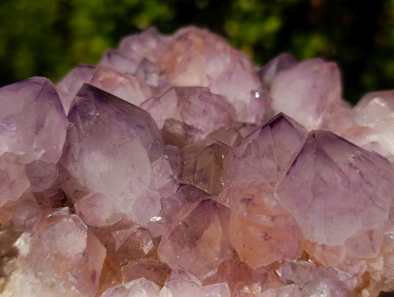 Natural Sunburst Spirit Amethyst Clusters x 2 From Boekenhouthoek, South Africa - Toprock Gemstones and Minerals 