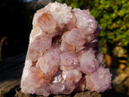 Natural Sunburst Spirit Amethyst Clusters x 2 From Boekenhouthoek, South Africa - Toprock Gemstones and Minerals 