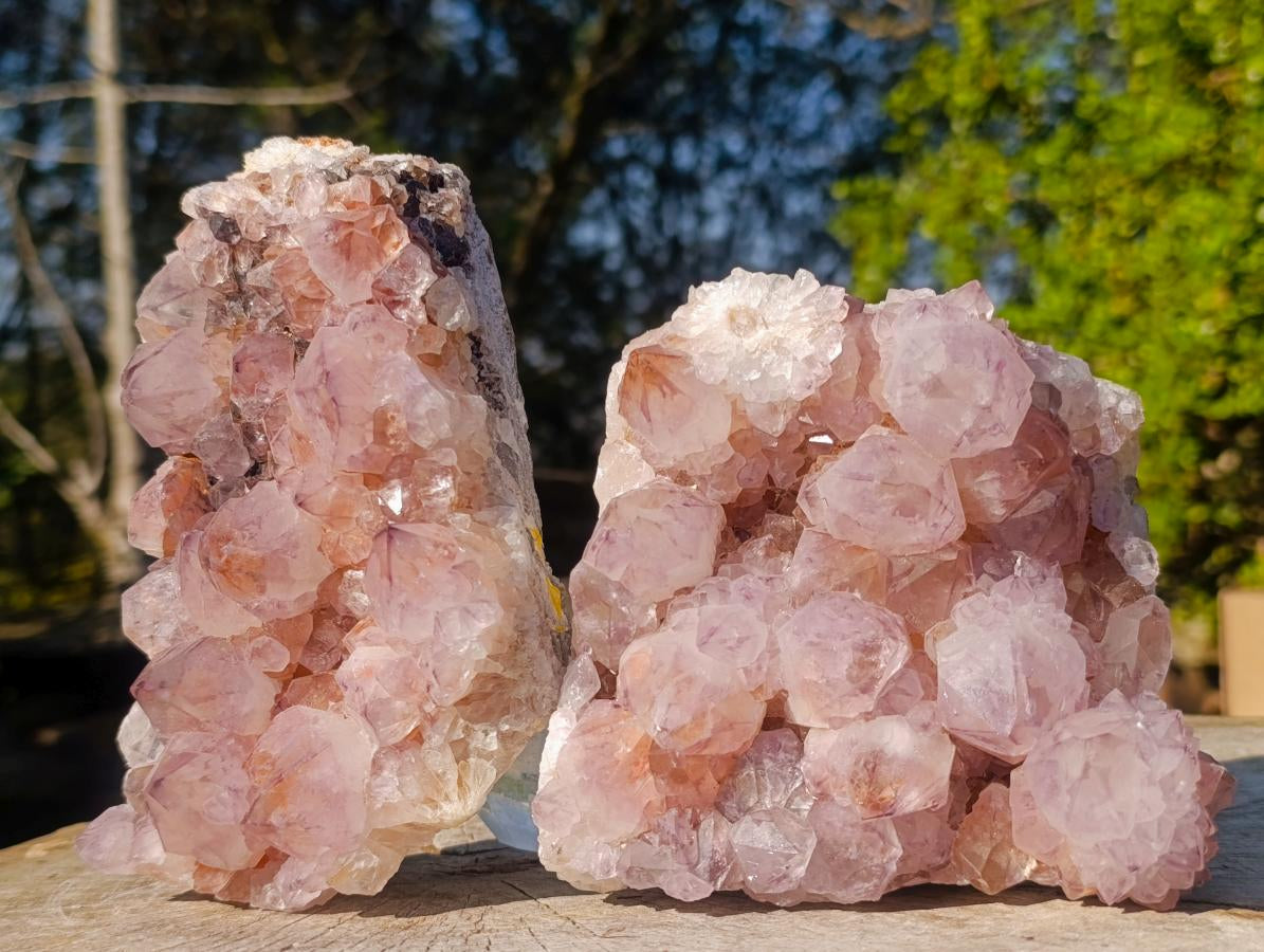 Natural Sunburst Spirit Amethyst Clusters x 2 From Boekenhouthoek, South Africa - Toprock Gemstones and Minerals 