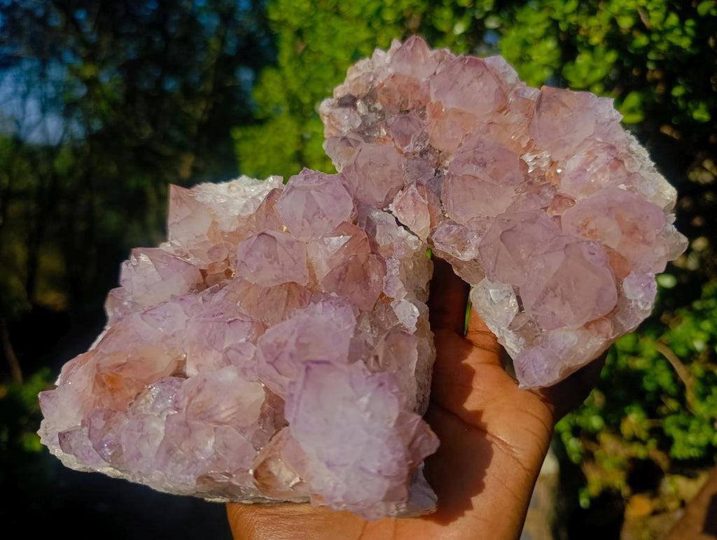 Natural Sunburst Spirit Amethyst Clusters x 2 From Boekenhouthoek, South Africa - Toprock Gemstones and Minerals 