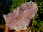 Natural Sunburst Spirit Amethyst Clusters x 2 From Boekenhouthoek, South Africa - Toprock Gemstones and Minerals 