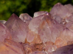 Natural Sunburst Spirit Amethyst Clusters x 2 From Boekenhouthoek, South Africa - Toprock Gemstones and Minerals 