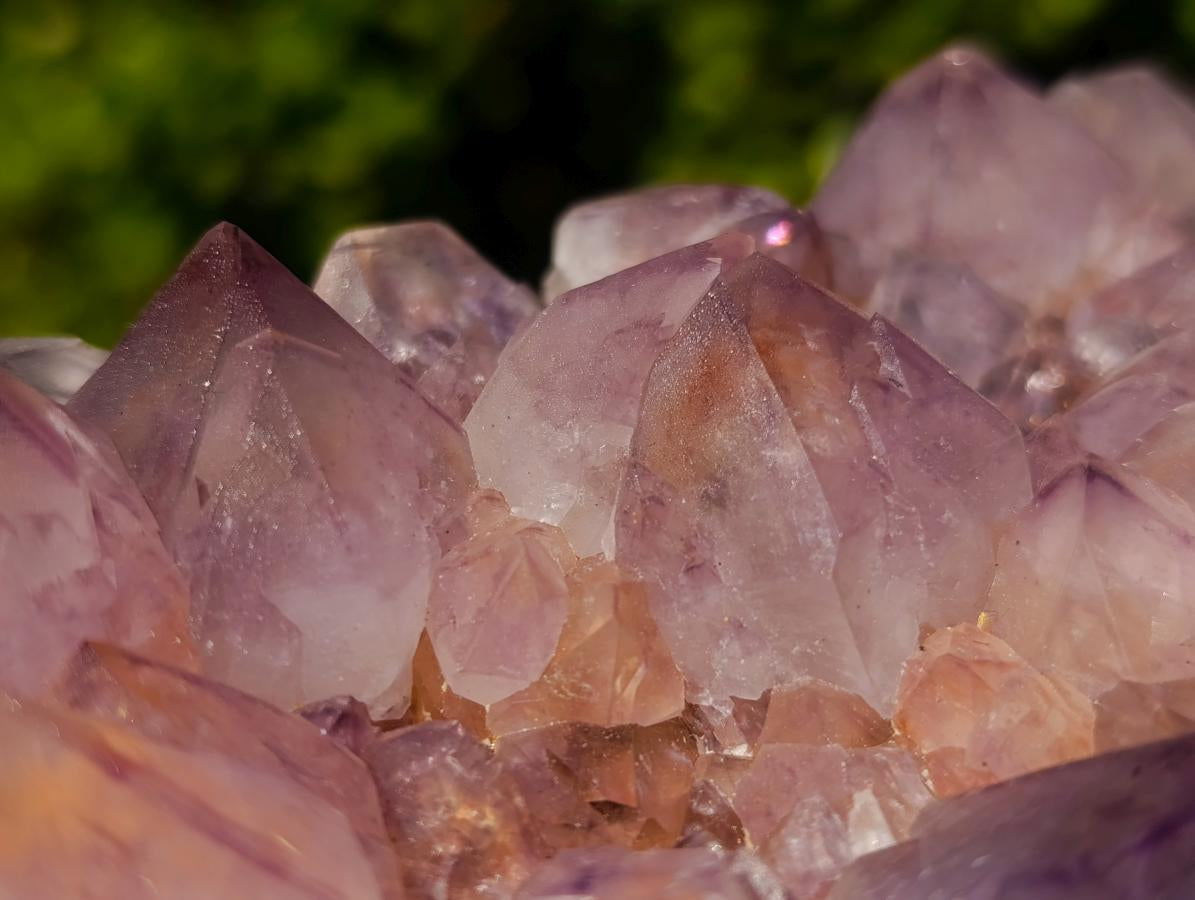 Natural Sunburst Spirit Amethyst Clusters x 2 From Boekenhouthoek, South Africa - Toprock Gemstones and Minerals 