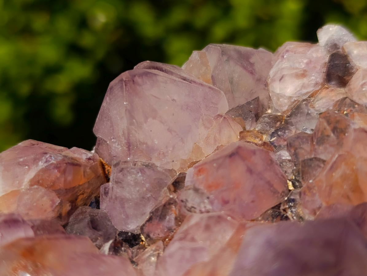 Natural Sunburst Spirit Amethyst Clusters x 2 From Boekenhouthoek, South Africa - Toprock Gemstones and Minerals 