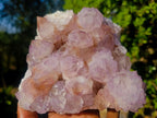 Natural Sunburst Spirit Amethyst Clusters x 2 From Boekenhouthoek, South Africa - Toprock Gemstones and Minerals 
