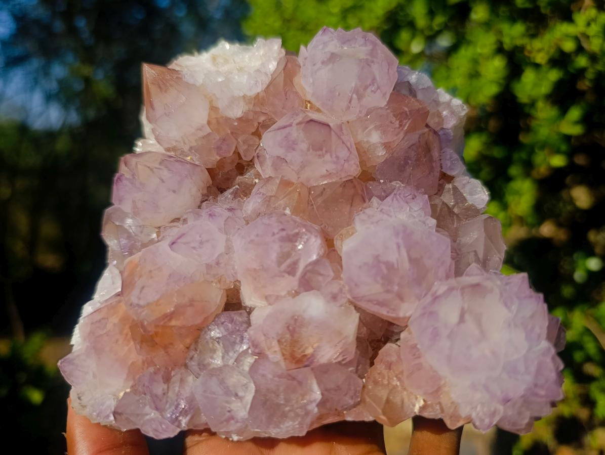Natural Sunburst Spirit Amethyst Clusters x 2 From Boekenhouthoek, South Africa - Toprock Gemstones and Minerals 