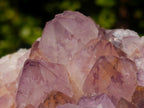 Natural Sunburst Spirit Amethyst Clusters x 2 From Boekenhouthoek, South Africa - Toprock Gemstones and Minerals 
