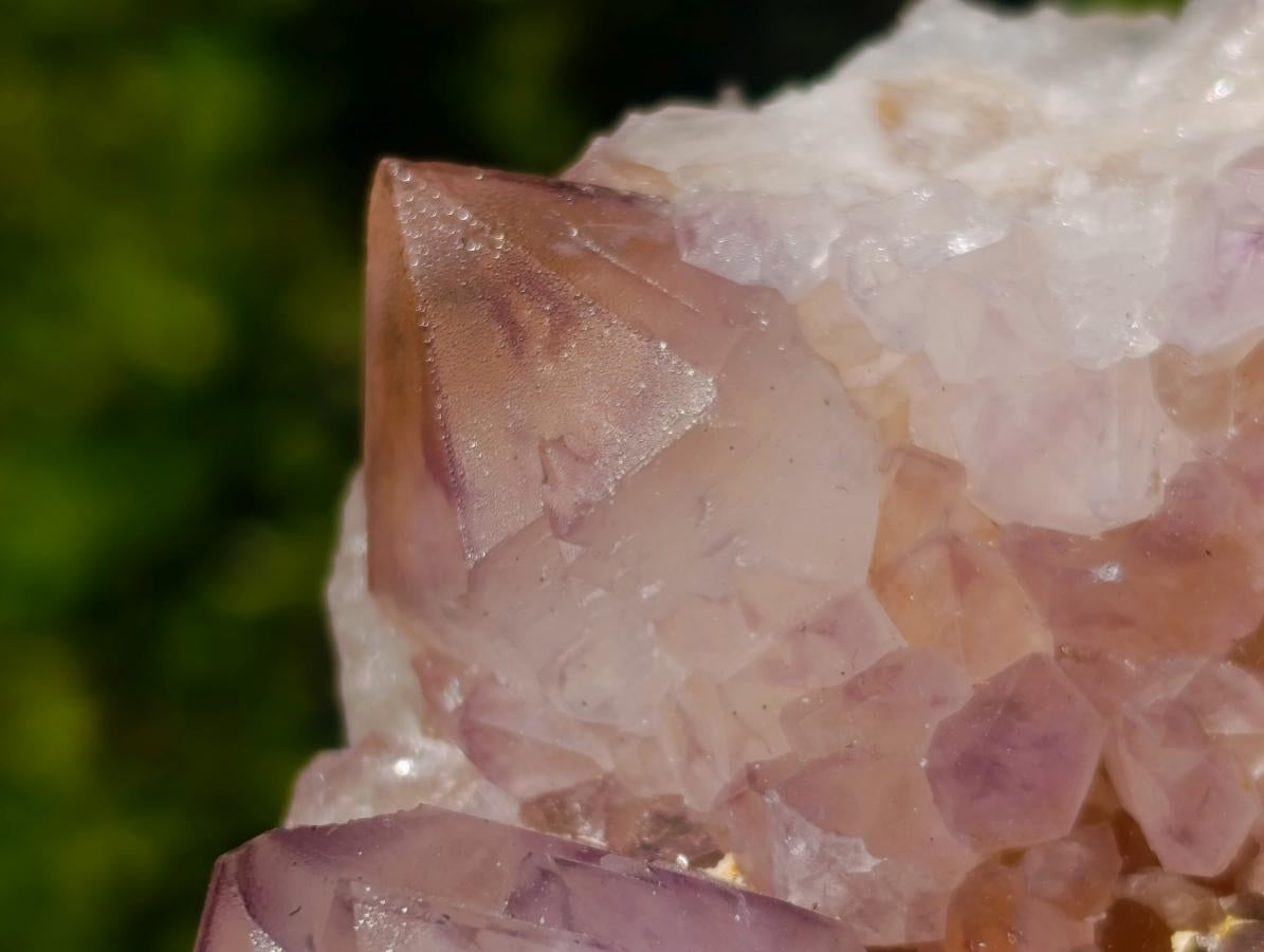 Natural Sunburst Spirit Amethyst Clusters x 2 From Boekenhouthoek, South Africa - Toprock Gemstones and Minerals 