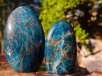 Polished Blue Apatite Standing Display Pieces x 6 From Betroka, Madagascar - Toprock Gemstones and Minerals 