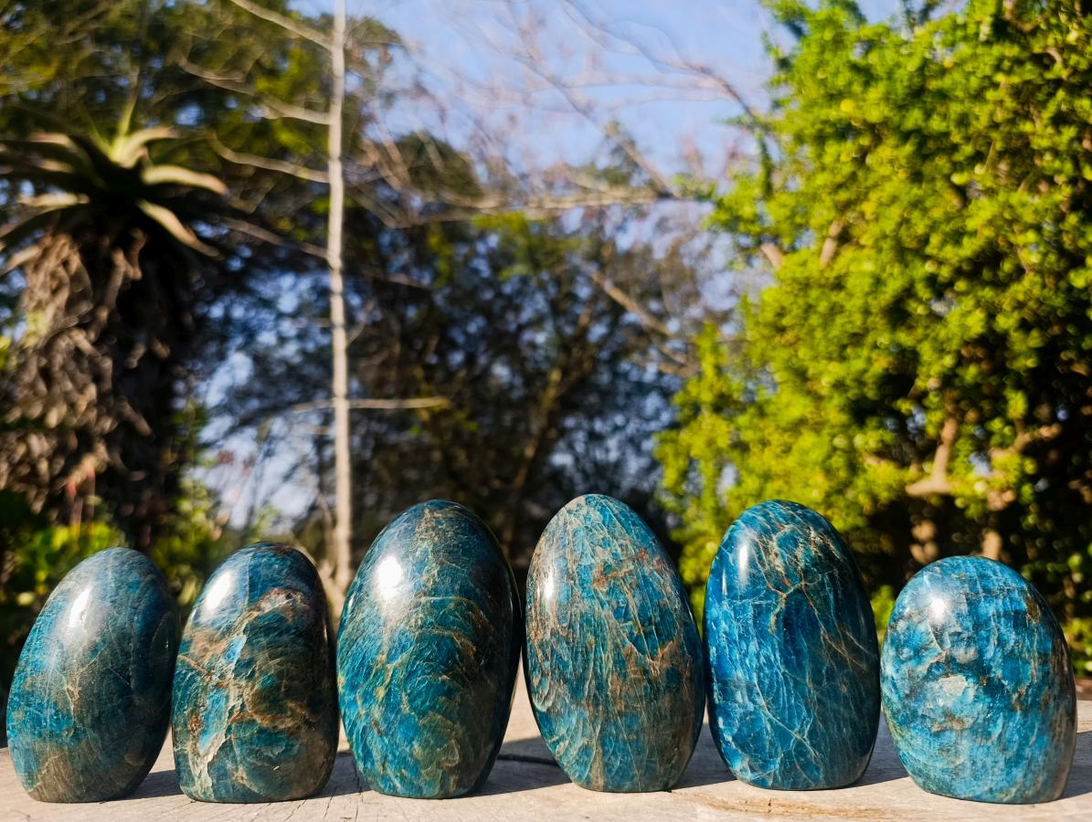 Polished Blue Apatite Standing Display Pieces x 6 From Betroka, Madagascar - Toprock Gemstones and Minerals 