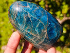 Polished Blue Apatite Standing Display Pieces x 6 From Betroka, Madagascar - Toprock Gemstones and Minerals 