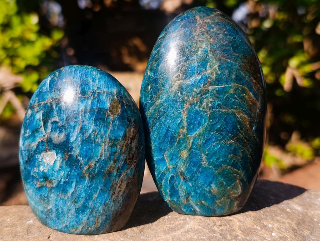 Polished Blue Apatite Standing Display Pieces x 6 From Betroka, Madagascar - Toprock Gemstones and Minerals 