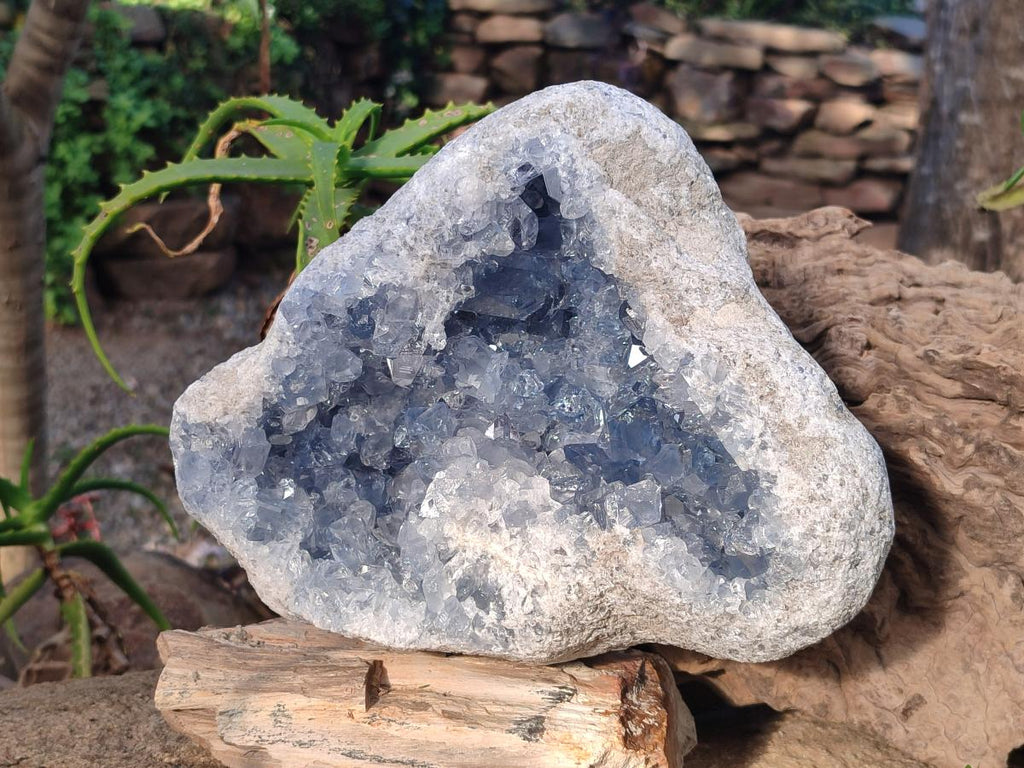 Natural Large Blue Celestite Geode Specimen x 1 From Sakoany, Madagascar - Toprock Gemstones and Minerals 
