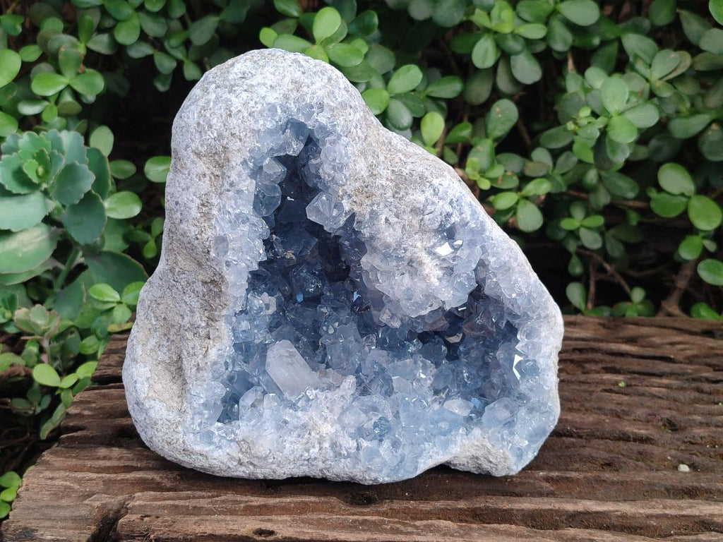 Natural Large Blue Celestite Geode Specimen x 1 From Sakoany, Madagascar - Toprock Gemstones and Minerals 