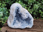 Natural Large Blue Celestite Geode Specimen x 1 From Sakoany, Madagascar - Toprock Gemstones and Minerals 
