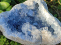Natural Large Blue Celestite Geode Specimen x 1 From Sakoany, Madagascar - Toprock Gemstones and Minerals 