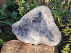 Natural Large Blue Celestite Geode Specimen x 1 From Sakoany, Madagascar - Toprock Gemstones and Minerals 