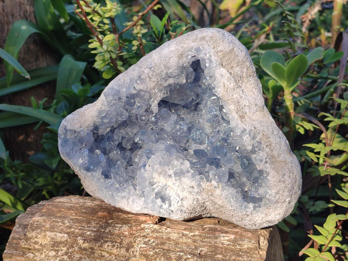 Natural Large Blue Celestite Geode Specimen x 1 From Sakoany, Madagascar - Toprock Gemstones and Minerals 