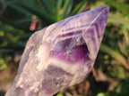 Polished Chevron Amethyst Witches Hat Crystals x 4 From Zambia - Toprock Gemstones and Minerals 
