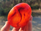 Polished Carnelian Agate Gemstone Bowls x 12 From Madagascar - Toprock Gemstones and Minerals 