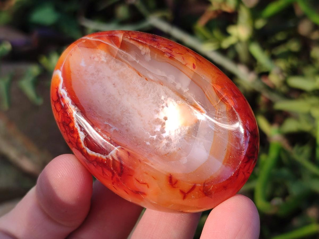 Polished Carnelian Agate Gemstone Bowls x 12 From Madagascar - Toprock Gemstones and Minerals 