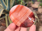 Polished Carnelian Agate Gemstone Bowls x 12 From Madagascar - Toprock Gemstones and Minerals 