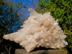 Natural XL Clear Quartz Crystal Cluster x 1 From Madagascar - Toprock Gemstones and Minerals 