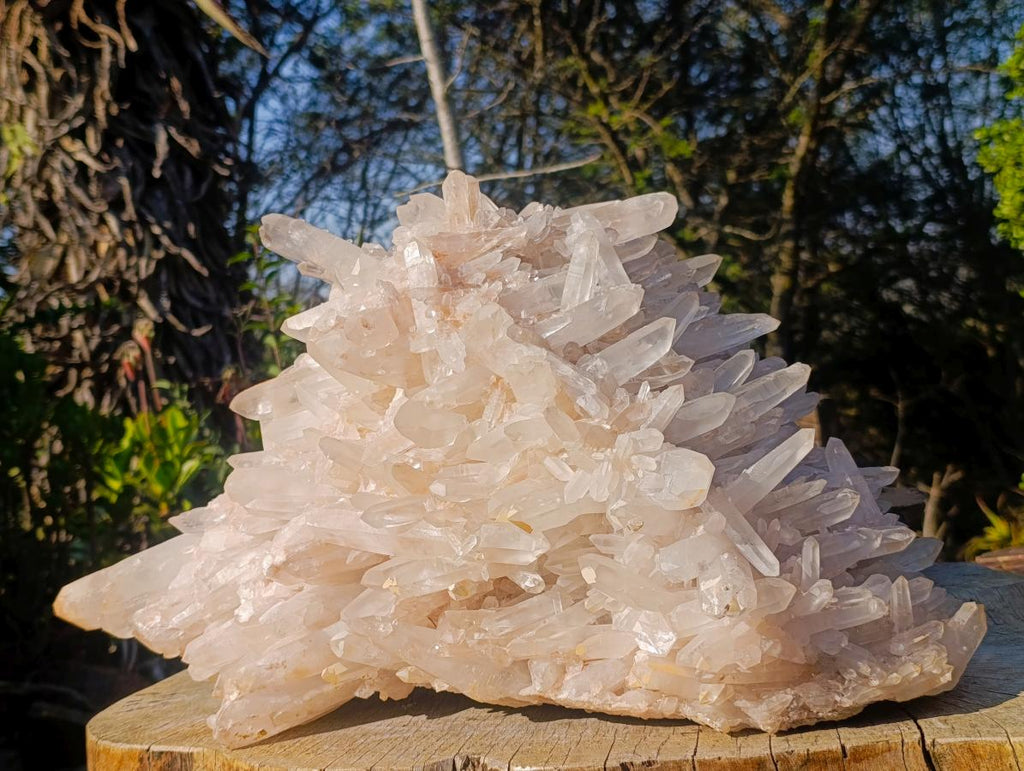 Natural XL Clear Quartz Crystal Cluster x 1 From Madagascar - Toprock Gemstones and Minerals 